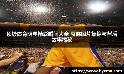 半岛bob·官方网站