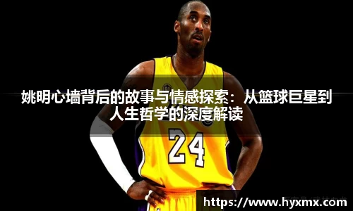 BoB半岛·体育中国官方网站