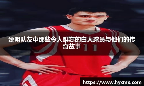 半岛bob·官方