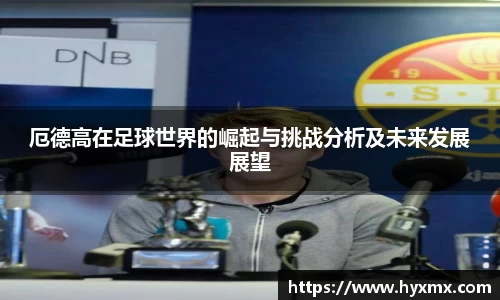 半岛bob·官方网站